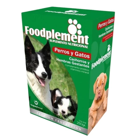 SUPLEMENTO NUTRICIONAL FOODPLEMENT CACHORROS Y HEMBRAS GESTANTES CAJA DE 250 GMS SUPLEMENTO NUTRICIONAL FOODPLEMENT CACHORROS Y HEMBRAS GESTANTES CAJA DE 250 GMS