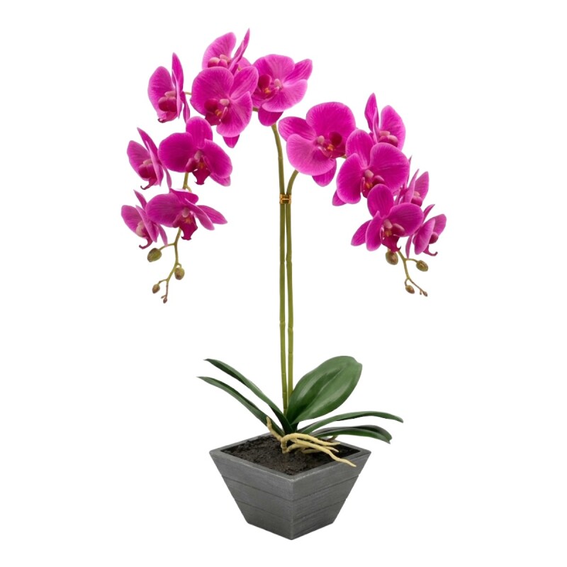 ORQUIDEA FUCSIA C/MACETERO 11.5X11.5X42CM Unica