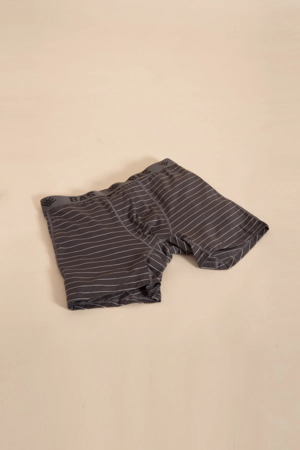 Boxer largo Estampado Gris