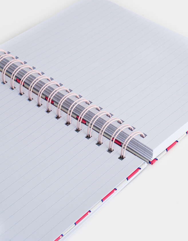 Anotadores Cuadernos y Memos Cuaderno A5 "stitch Capybara" - Combinacion Multicolor