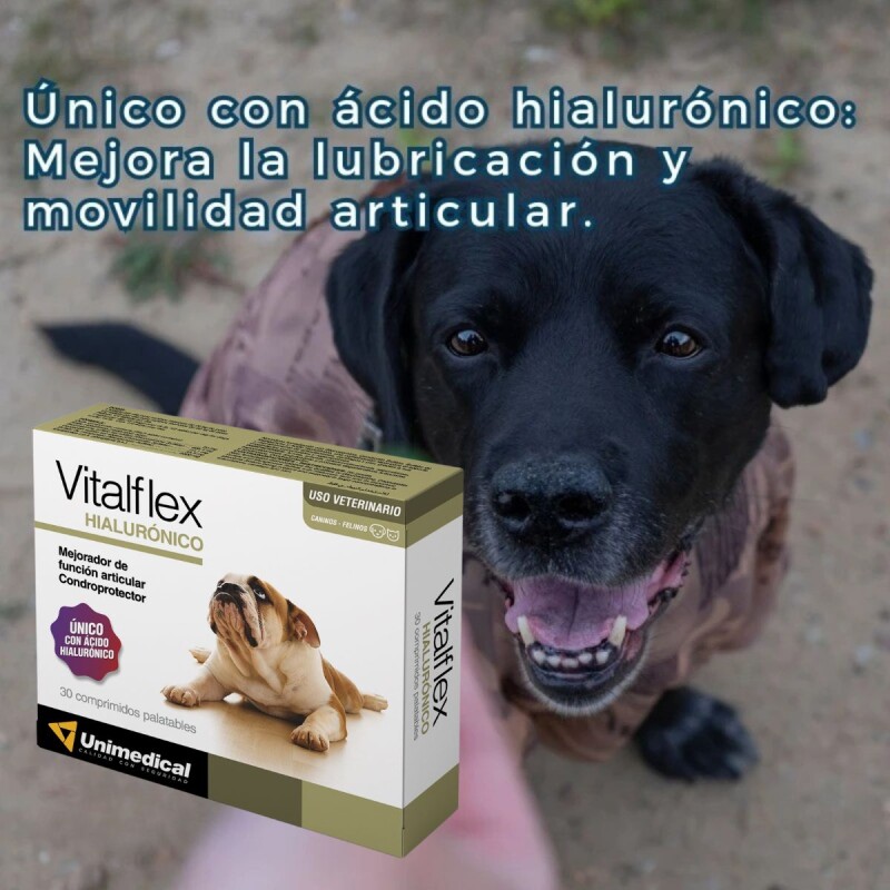 VITALFLEX X BLISTER DE 5 COMPRIMIDOS
