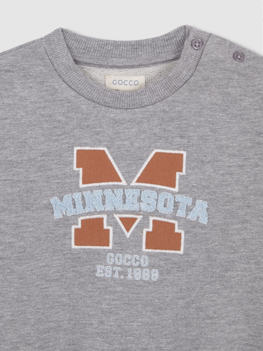 Sudadera Minnesota Gris