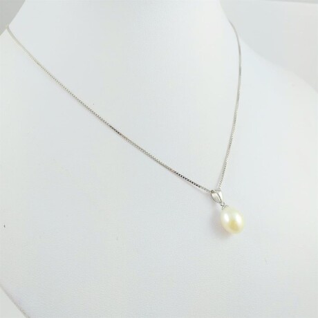 Colgante de plata 925 con perla de río y cadena venenciana. Colgante de plata 925 con perla de río y cadena venenciana.