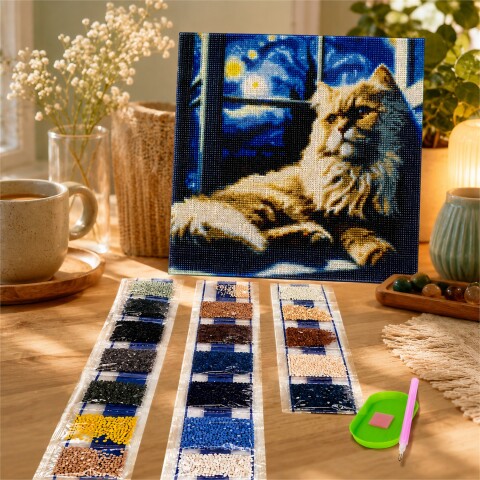 Kit de Pintura Diamante 5D Diamond Painting 30 x 30 cm DISEÑO 1