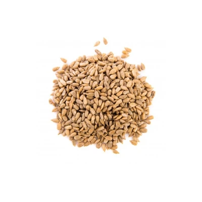 GIRASOL TOSTADO 100G Girasol Tostado