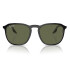 RB 2203/52 col 919-58 Polarized Rb 2203/52 Col 919-58 Polarized