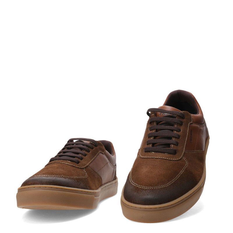 Zapato de Hombre Freeway Casual Box Marrón Coñac
