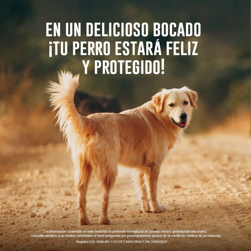 NEXGARD PASTILLA ANTIPULGAS Y GARRAPATAS X 1 COMP DE 25 A 50 KG