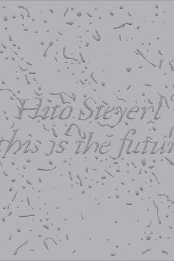 Hito Steyerl Hito Steyerl