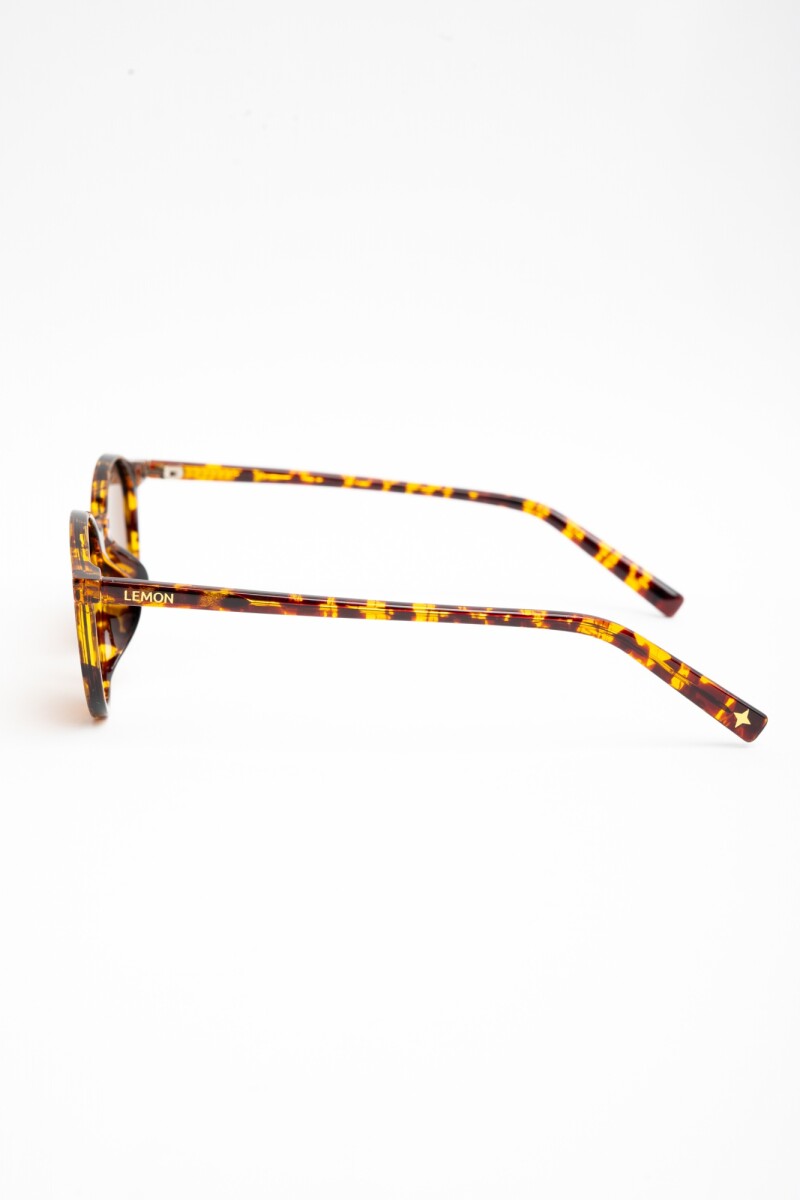 Lentes De Sol Polarizados Marron