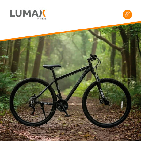 Bicicleta Montaña Bike Ruta R29 Freno Disco Acero Negro