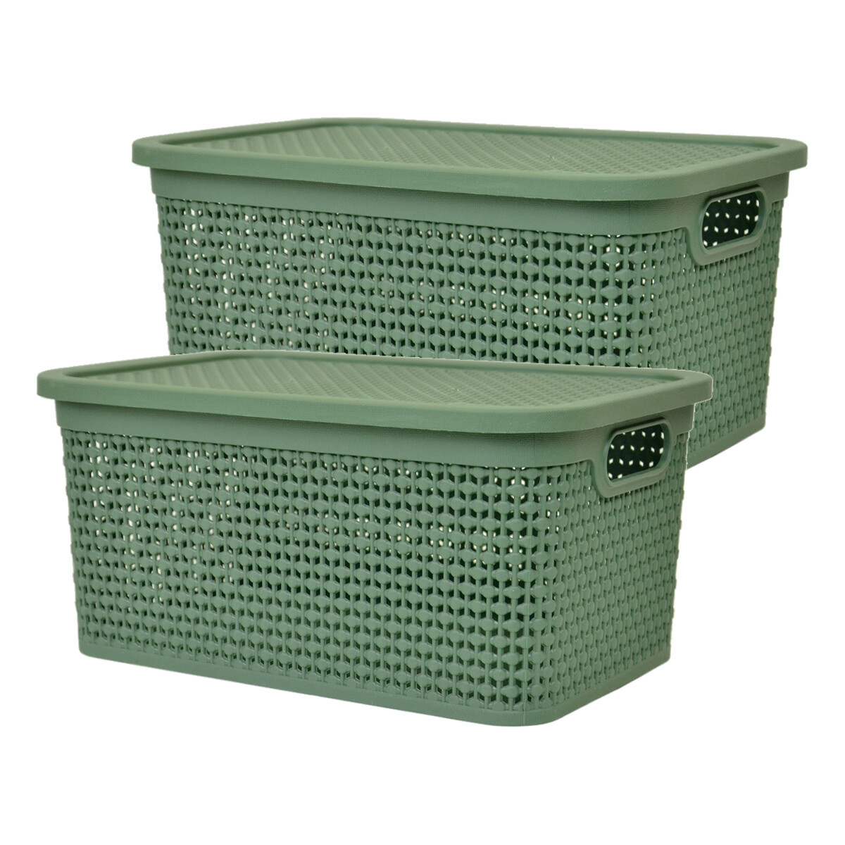 Set x2 Caja simil ratán 4 lts 26,7x18x12cm - VERDE 