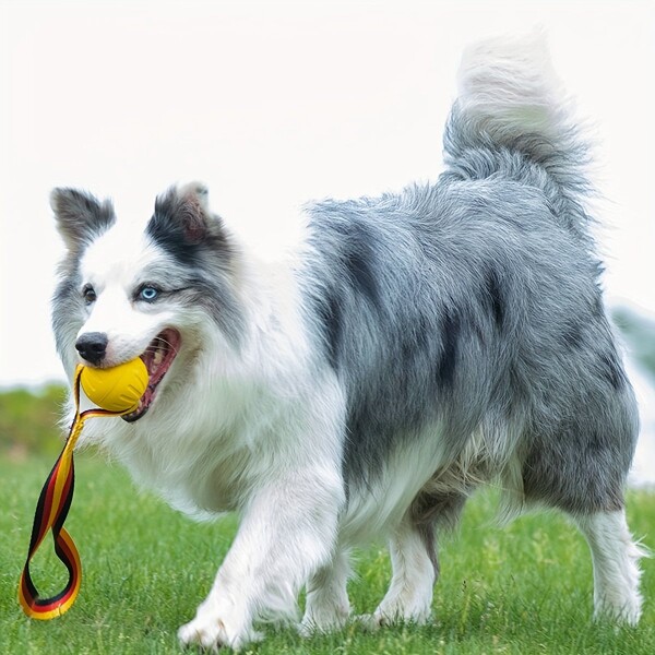 Juguete Pelota Con Cinta Morder Arañar Para Perros Gatos Variante Color Amarillo