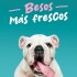 PASTA DENTAL VIRBAC PARA PERROS Y GATOS KIT CON CEPILLO DE REGALO PASTA DENTAL VIRBAC PARA PERROS Y GATOS KIT CON CEPILLO DE REGALO