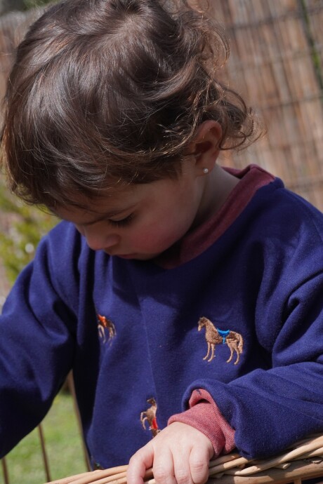 Mini Horsy Sweater Azul Marino