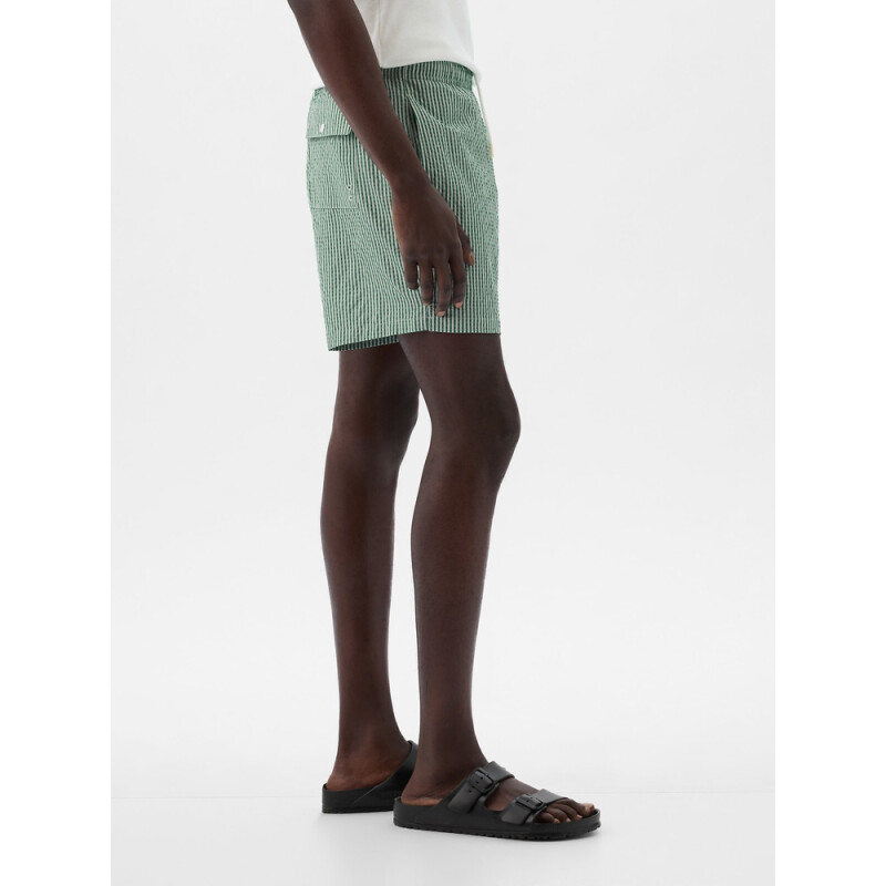 6 INCH SWIM SHORT GREEN STRIPE