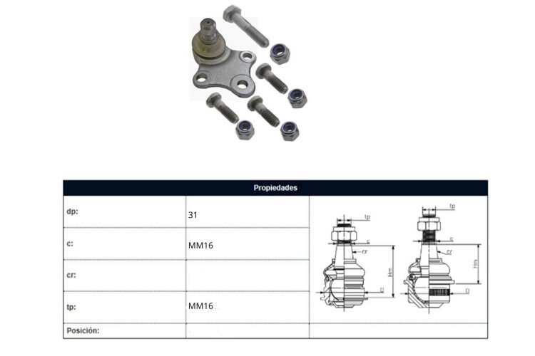 Rotula Del Citroen Xsara/Zx/Xsara Break Peug Partner/306 Sma C52/C81 93-25 Der/Izq Rotula Del Citroen Xsara/Zx/Xsara Break Peug Partner/306 Sma C52/C81 93-25 Der/Izq