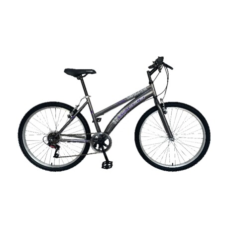 Bicicleta Baccio R.24 Niña Mtb Alpina Gris