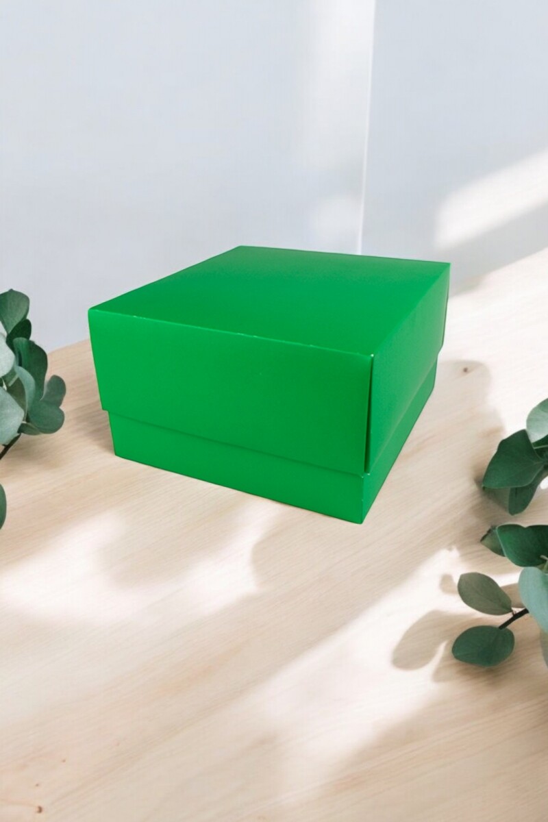 Caja Rectangular 15x16x9 cm - VERDE 