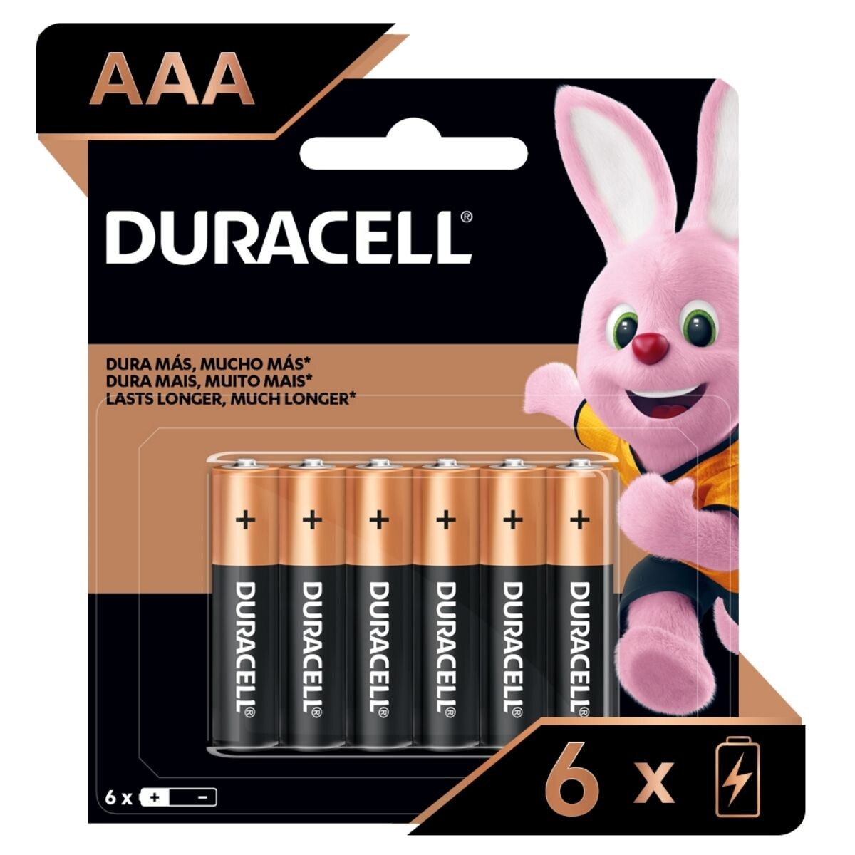 Pila Duracell Alcalinas AAA - X6 