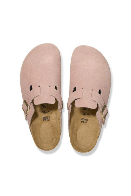 Boston Leve Light Rose Light Rose