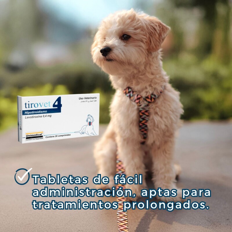 TIROVET 4 LEVOTIROXINA 0.4 MGS CAJA 20 COMPRIMIDOS TIROVET 4 LEVOTIROXINA 0.4 MGS CAJA 20 COMPRIMIDOS