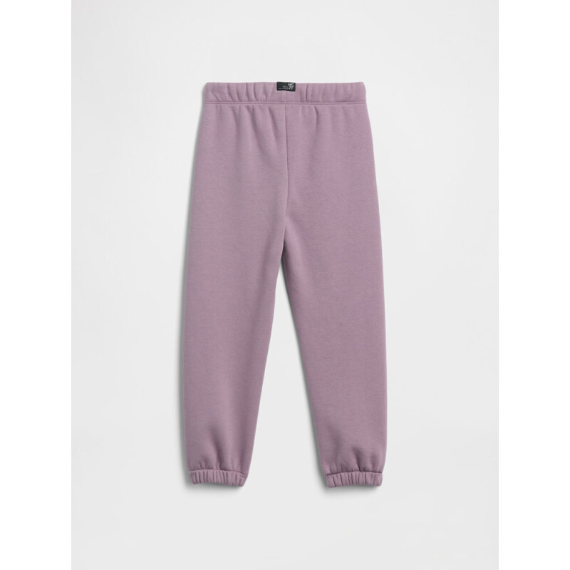 V-DISLOGO JGR SP DIS FAM AMETHYST2