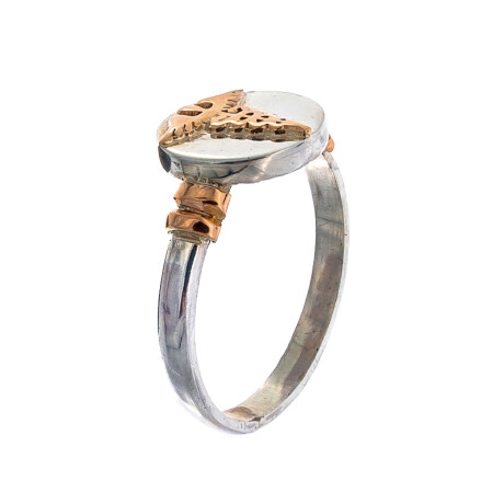 Anillo de plata 925 y oro 10 ktes, MEDICINA Anillo de plata 925 y oro 10 ktes, MEDICINA