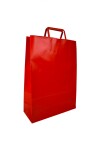Bolsa lisa acuario 30x12x41 cm ROJO