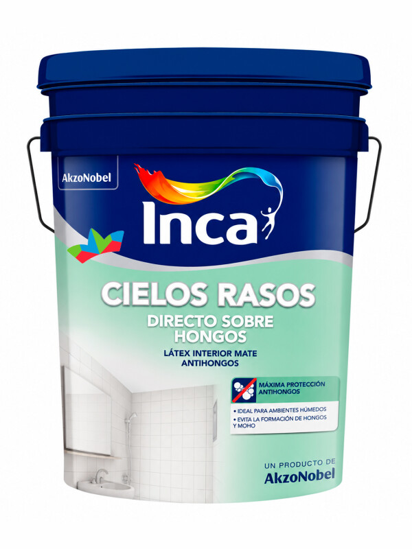 WEB CIELOS RASOS DIRECTO 20LTS - DESTACADO - N/A
