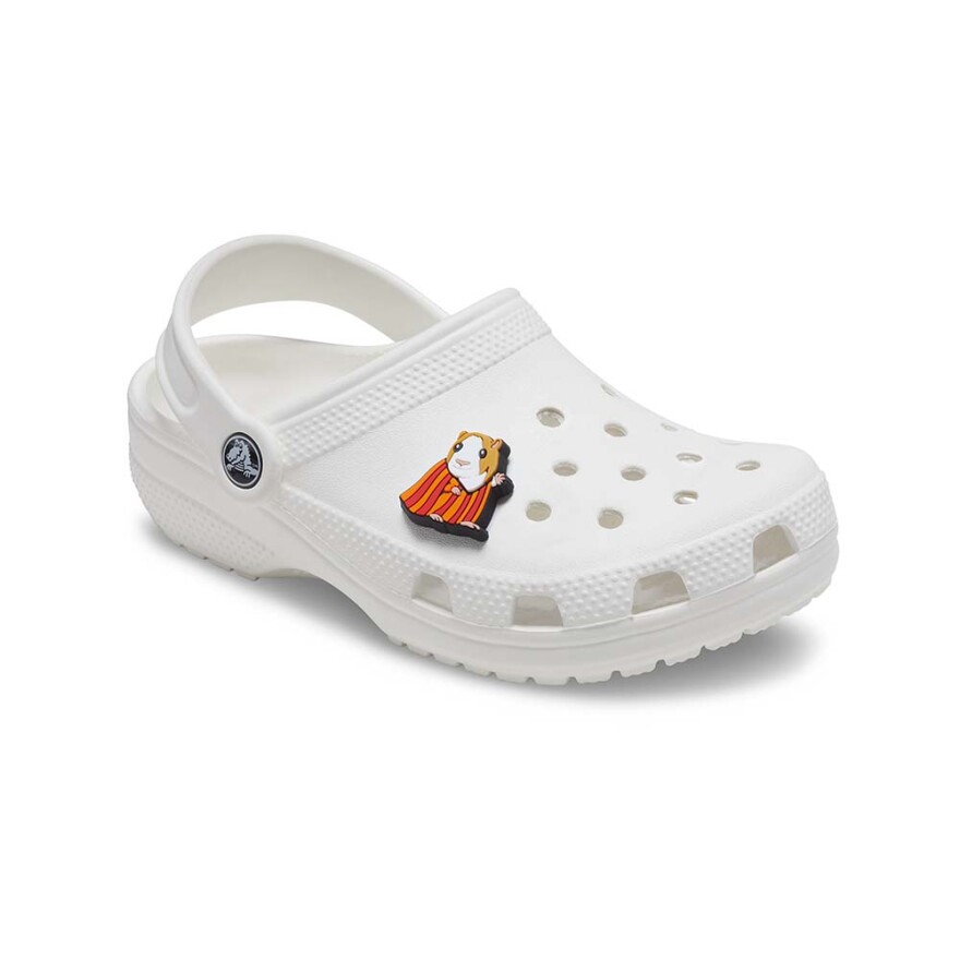 Jibbitz Cuy Multicolor