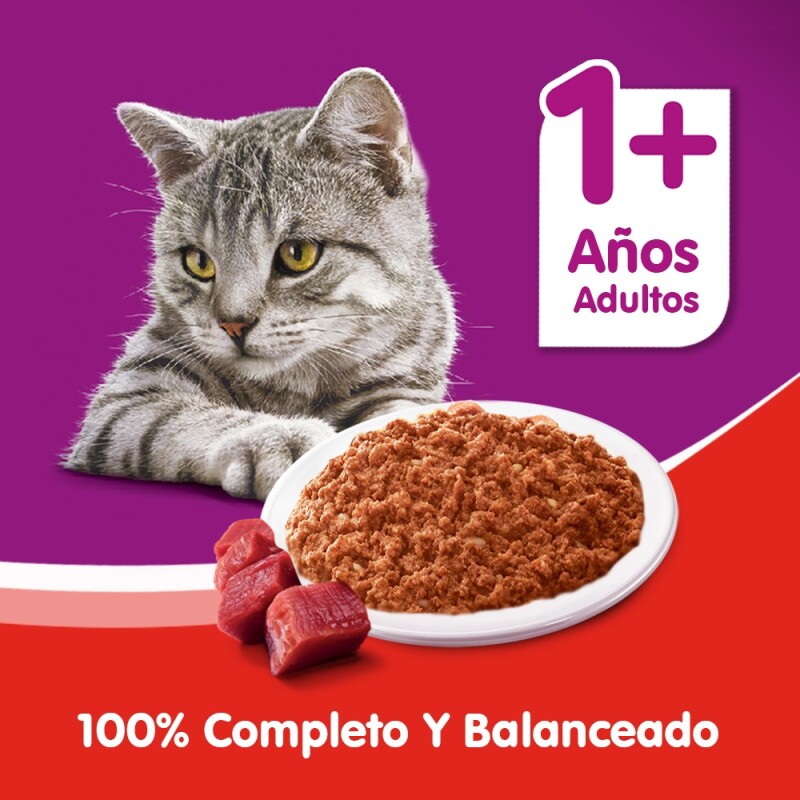 WHISKAS PATE LATA ALIMENTO HUMEDO CARNE 340 GRAMOS