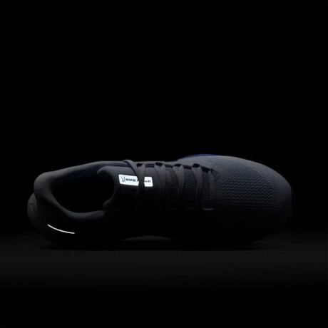 NIKE AIR ZOOM PEGASUS 41 Black