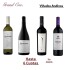 Viñedos Andinos Viñedos Andinos
