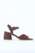 Avela Brownie
