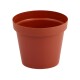 Maceta 3 lts TERRACOTA