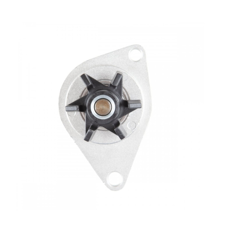 BOMBA DE AGUA CITROEN C3 , PEUGEOT 206 , 207 8V Bomba De Agua Citroen C3 , Peugeot 206 , 207 8v