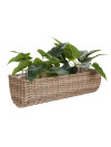 Jardinera balcón STEINTROST A18xL50xA16 Jardinera balcón STEINTROST A18xL50xA16