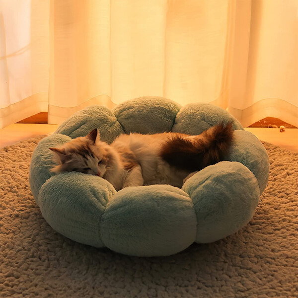 Cama Redonda Flor Para Perro Gato Mascotas 60 Cm Calidad Cama Redonda Flor Para Perro Gato Mascotas 60 Cm Calidad