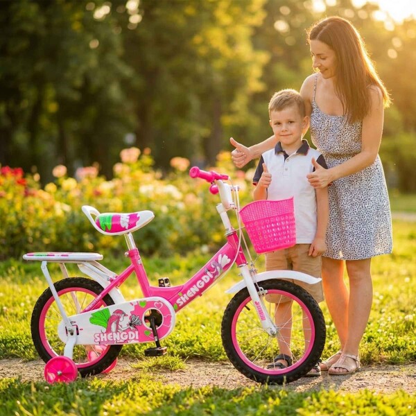 Bicicleta infantil Shengdi Rodado 14 Canasto Parrilla Hadas Rosa 1