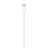 Apple cable USB-C a Lightning (1m) Apple cable USB-C a Lightning (1m)