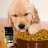 EQUILIBRIO PERROS CACHORROS TODAS LAS RAZAS 15 + 3 KG