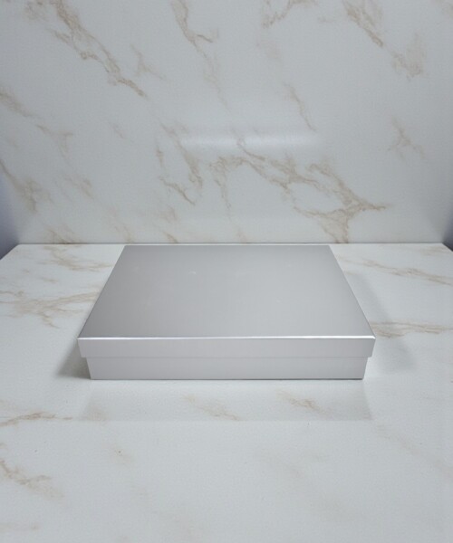 Caja Rigida 24 x 33 x 6 PLATA