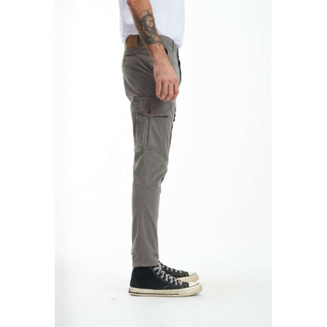 Pantalón cargo Andino 24 Gris