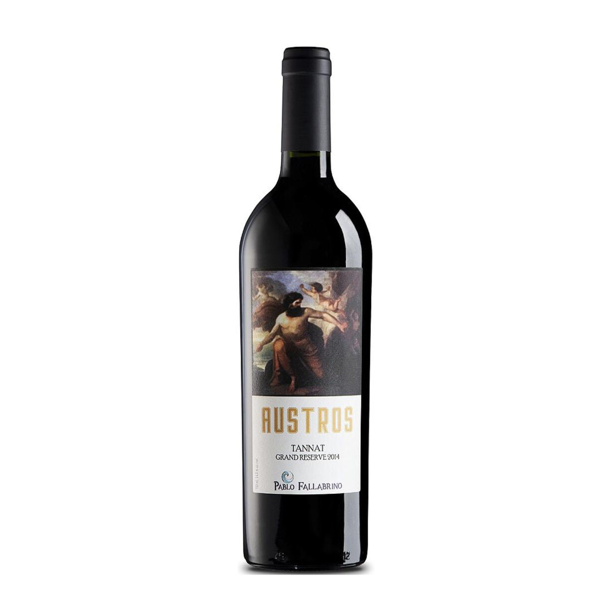 Vino Pablo Fallabrino Austros Tannat Gran Reserva - 750 Ml 