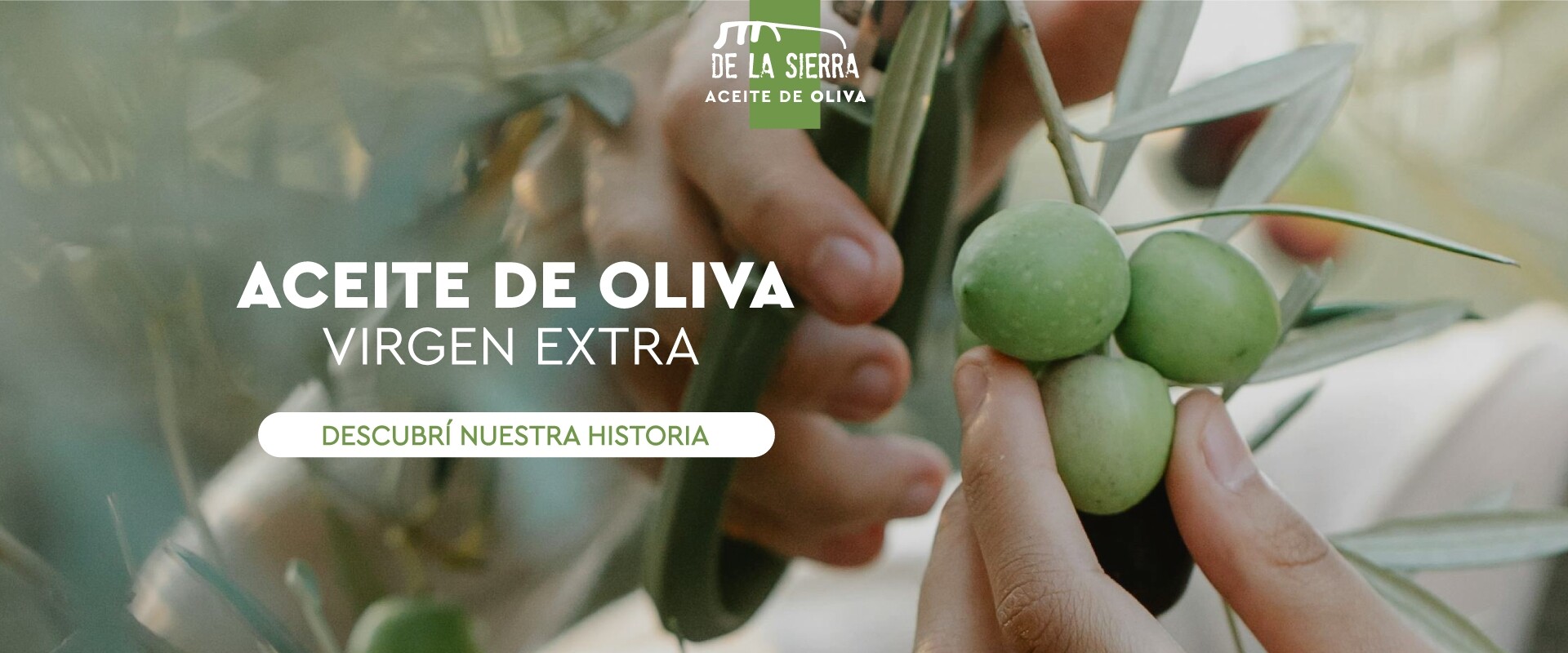 De la Sierra, Aceite de Oliva Virgen Extra. Nuestros olivares.