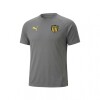 Remera Peñarol Puma Evostripe 05