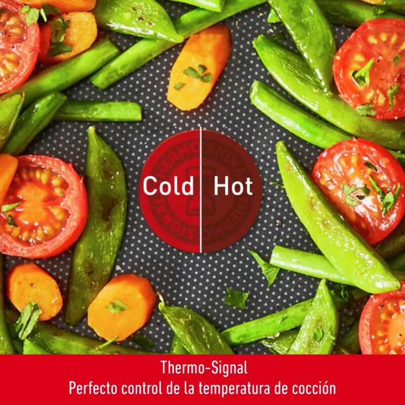 Sarten 24cm Tefal Super Cook Antiadherente Sarten 24cm Tefal Super Cook Antiadherente