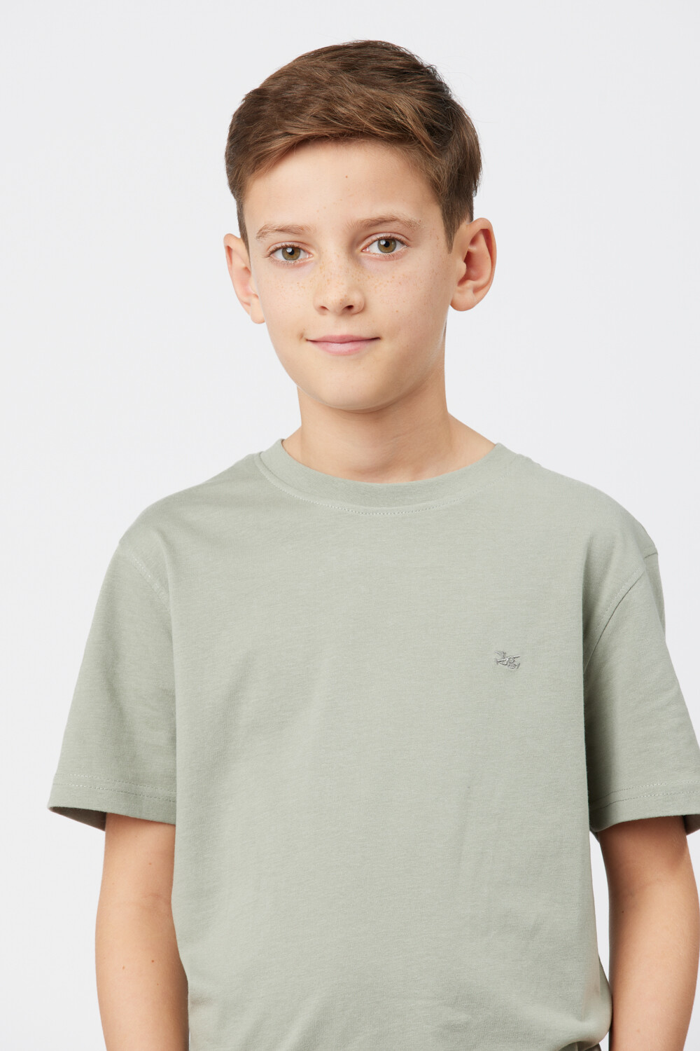 REMERA BÁSICA DE ALGODÓN Pistacho