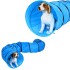 Tunel Gigante Perro Gato Mascota Redondo Tubo Interactivo Variante Color Celeste